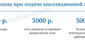 Надо ли платить госпошлину при подаче краткой апелляционной жалобы