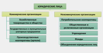 Организационно правовых форм на 2019 год