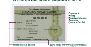 Пенсионное свидетельство для иностранцев